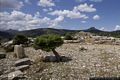 Urzulei-Tomba di giganti S&rsquo;Arena I: sulla sinistra il coccio a dentelli