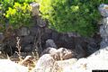 Usellus: il nuraghe di Santa Lucia I Usellus: il nuraghe di Santa Lucia I