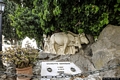 Usini-Cimitero Comunale: la tomba della famiglia Diaz all’interno dell’area cimiteriale Usini-Cimitero Comunale: la tomba della famiglia Diaz all’interno dell’area cimiteriale