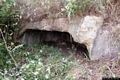 Usini-Necropoli di Molineddu: ingresso tomba IV