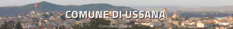Visita del sito istituzionale del comune