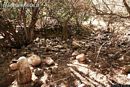 Uta: i ruderi della Santuario di Santa Maria Magramixi