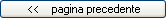 Vai alla pagina precedente