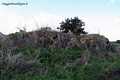 Valledoria: il nuraghe la Serra
