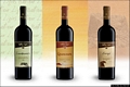 Valledoria: i vini della Vitivinicola Chessa