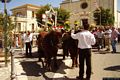 Vallermosa-Festa di San lucifero
