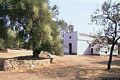 Villacidro: chiesa campestre di San Pietro di leni nella pineta