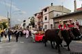 Villacidro-La festa di Sant&rsquo;Isidoro: il processione