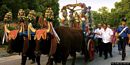 Villagrande Strisaili: il processione per la festa di San Gabriele Arcangelo