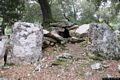Villagrande Strisaili-tomba di giganti Sa Carcaredda I