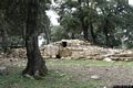 Villagrande Strisaili-tomba di giganti Sa Carcaredda II