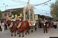 Villamar: il processione per la festa di Nostra Signora d’Itria