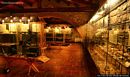 Villanovaforru: Civico Museo Archeologico Genna Maria: la sala prenuragica