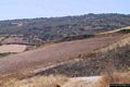 Villanovaforru: veduta dei dintorni