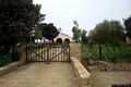 Villanovaforru: chiesa di Santa Marina Vergine e Martire