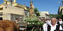 Villanovafranca-Festa di Nostra Signora della Salute