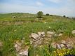 Villanovafranca-resti del nuraghe Tuppedili