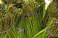 Villanova Truschedu-Gli asparagi di Villanova Truschedu