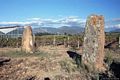 Villaperuccio: i menhir chiamati Is Pedras Crocadas