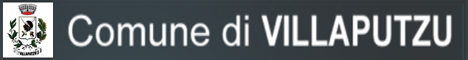 Visita del sito istituzionale del comune