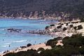 Villasimius: la spiaggia di Portu Sa Ruxi