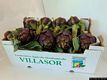 Villasor: carciofo spinoso di Villasor