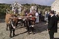Villa Verde-Festa campestre di San Mauro Abate: arrivo della processione