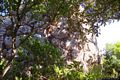 Villa Verde-Veduta del Nuraghe complesso di su Bruncu ’e S’Omu