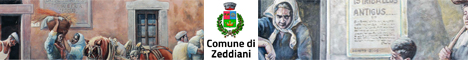 Visita del sito istituzionale del comune