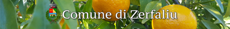 Visita del sito istituzionale del comune